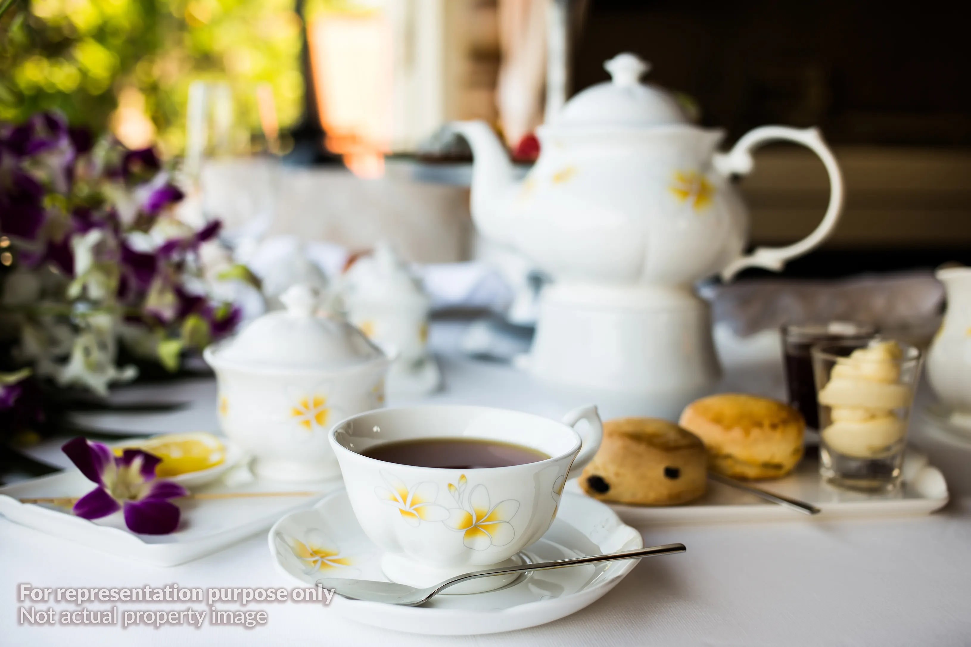 Aromatic Tea Brewing Experience